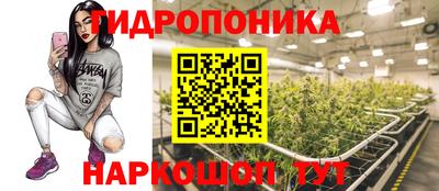 ПСИЛОЦИБИНОВЫЕ ГРИБЫ Камень-на-Оби