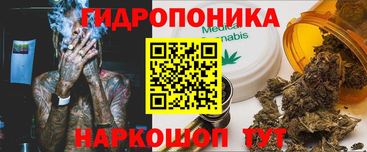 Бошки марихуана сатива Ногинск